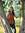 Heather Kirchhoff | 4 comments