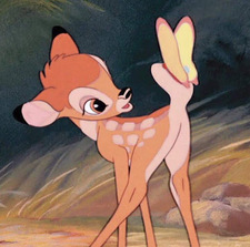 bambi