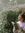 Dulce (dulcexmm) | 2 comments