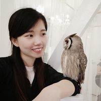 Terry Zeng