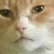 Juan