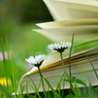 love-escapism-here