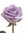 ~ Lavender Rose