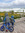 Sarita | 1178 comments