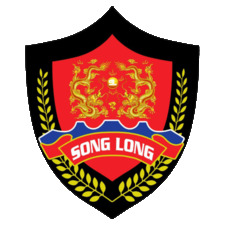 Baovesonglong