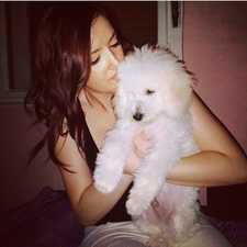 Милица Виоглавин