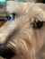 Zoey
