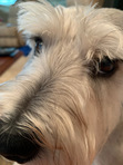 Zoey