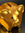 member photo member photo