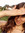 Ilaria Boscolo | 11 comments