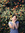 Mercy | 19 comments