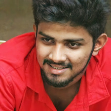 Gokul Sudhakar