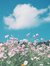 Awan La...