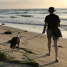 David Coker (Gentry)