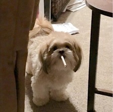 Kim