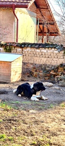 Диана Люцканова