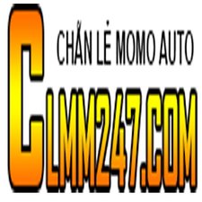 Hệ thống chẵn lẻ  MoMo