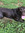 member photo member photo