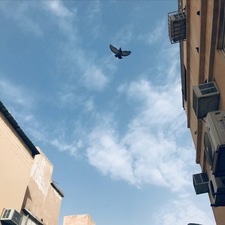 حَنين محمّد