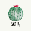 Sofia