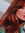 Carly Ingram-Gerrard (carlylovesreading31) | 2 comments