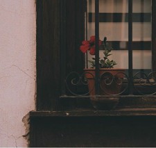 ياسمين المليجي