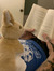 Bunny &...