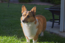 Max