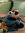 Tomek