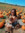 Marissa (marissaac) | 4 comments