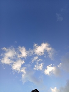 رحاب إبراهيم