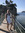 Julia | 7 comments