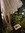 annie | 1 comments