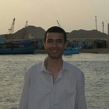 حسن الحلوانى