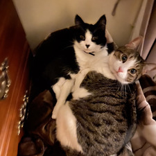 BookaholicallyBridie