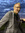 Joe (tiaskal) | 1 comments