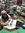 member photo member photo