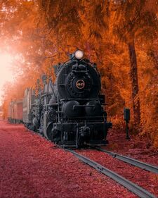 Miriam Paisaje de Libros