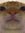 Ray P.