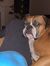Aiden S...