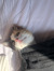 Babou
