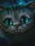 Programcat