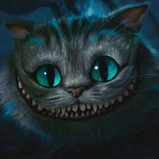 Programcat