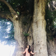 Shreya