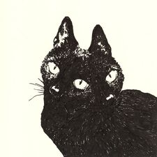 Ola