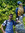 Fabio | 2 comments