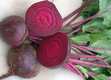 beets4borshenko