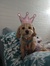 Jennife...