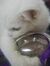 Basma H...