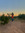 shaecamardo (clockworkwonder) | 6 comments